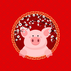 Das chinesische Neujahr – im Zeichen des Schweins